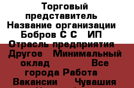 Торговый представитель › Название организации ­ Бобров С.С., ИП › Отрасль предприятия ­ Другое › Минимальный оклад ­ 25 000 - Все города Работа » Вакансии   . Чувашия респ.,Новочебоксарск г.